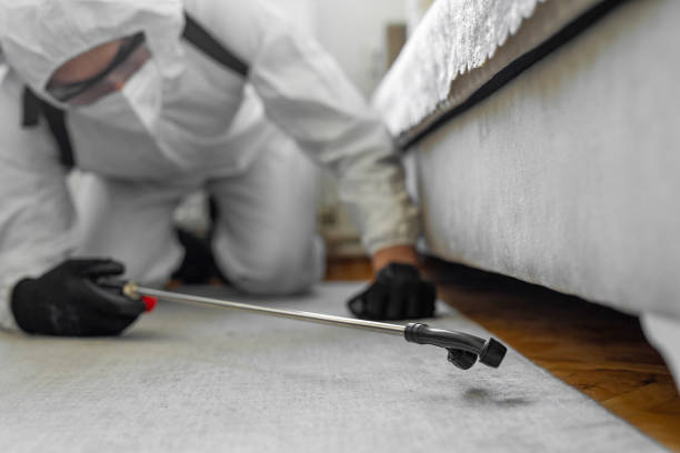 Professional Bed Bug Control technician working in Jacksonville, AR